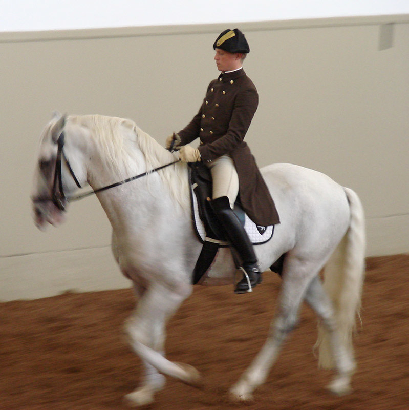 Ecole espagnole d'équitation